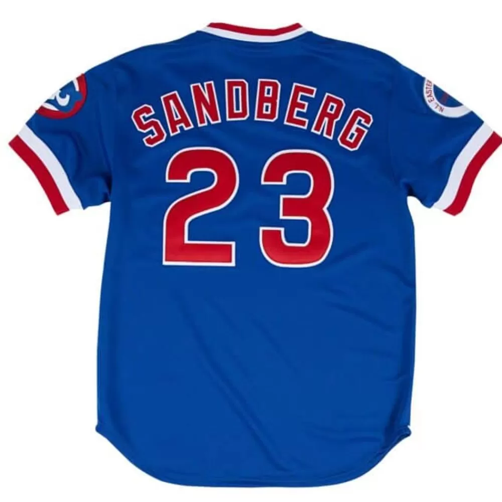 Jerseys Mitchell & Ness -Authentic Jersey Chicago Cubs Road 1984 Ryne Sandberg