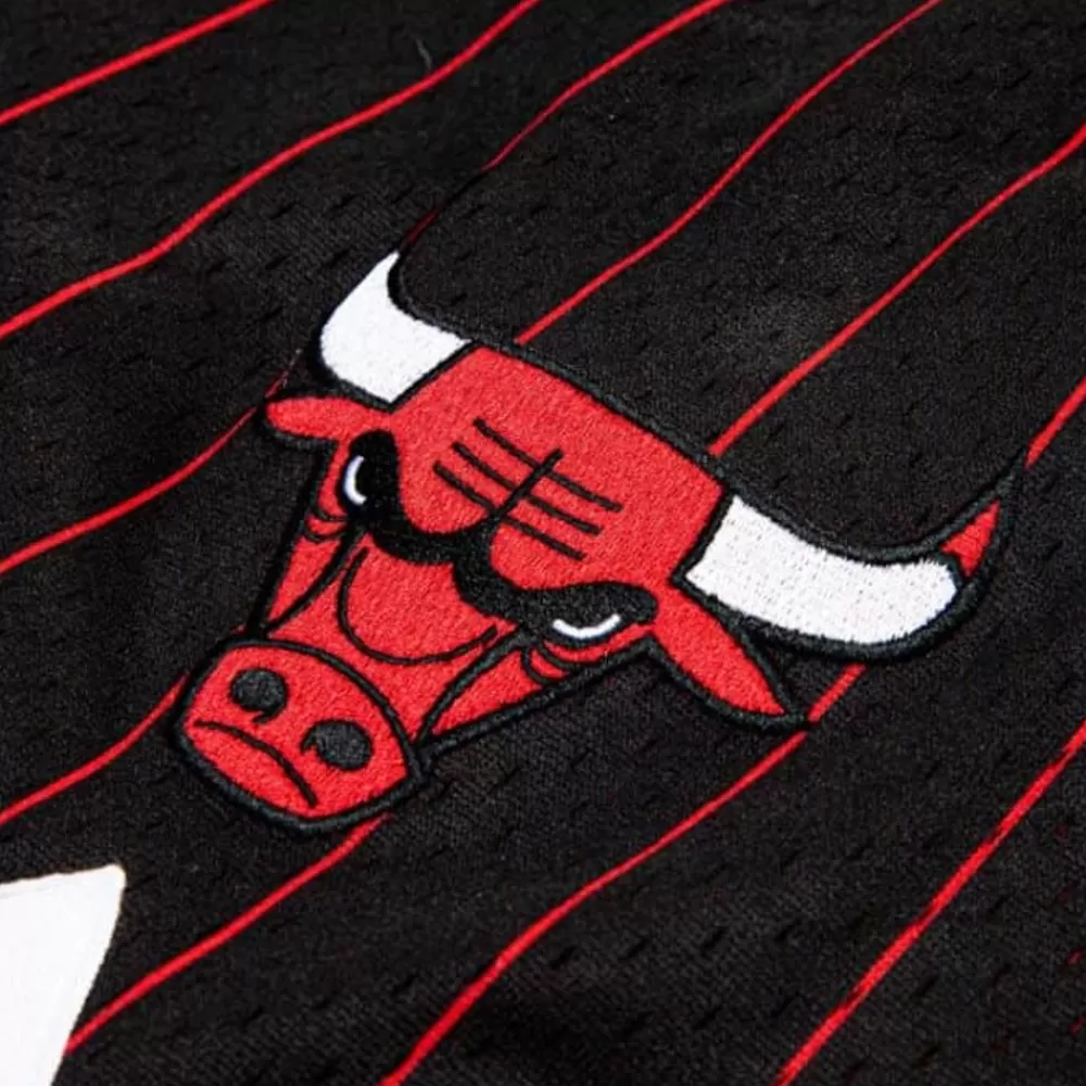 Shorts Mitchell & Ness -Just Don 10Th Year Anniversary Shorts Chicago Bulls 1996