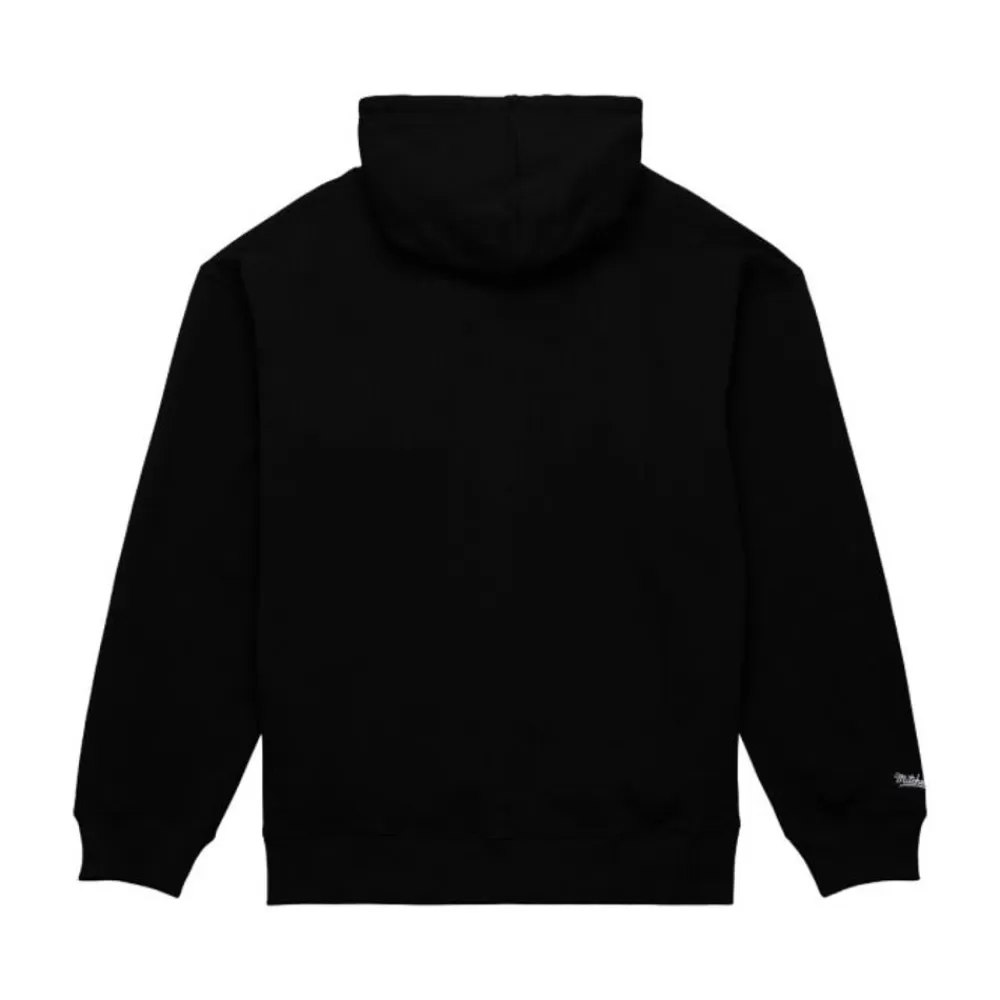 Apparel Mitchell & Ness Hoodies & Sweatshirts-Tonal Logo Heavyweight Fleece Toronto Raptors